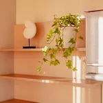 Apartman Chilliapartamenty - Fredry *