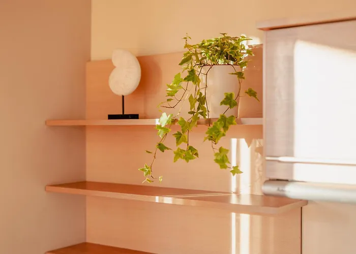 Apartmán Chilliapartamenty - Fredry *